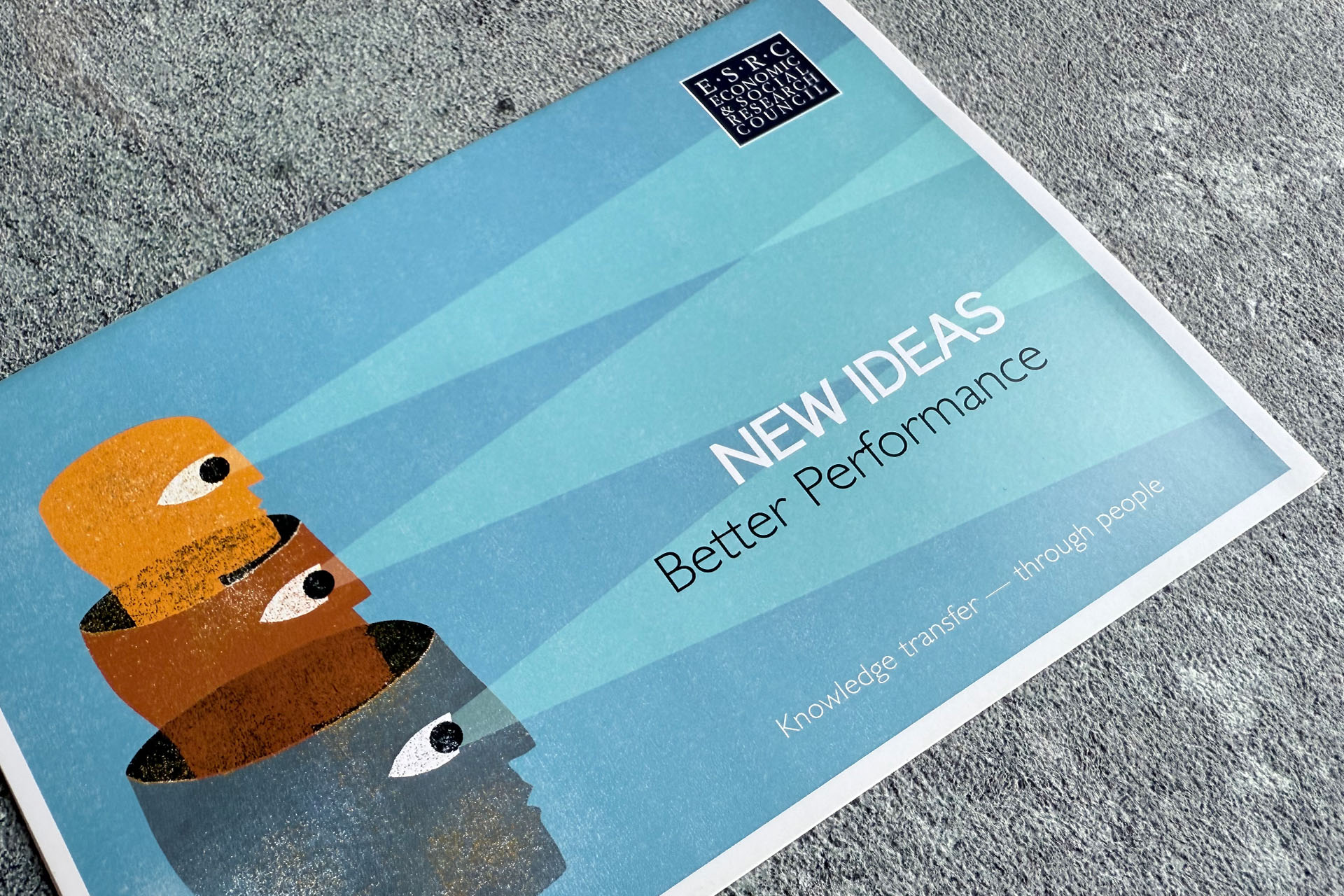 Head within a Head Mailer Cover